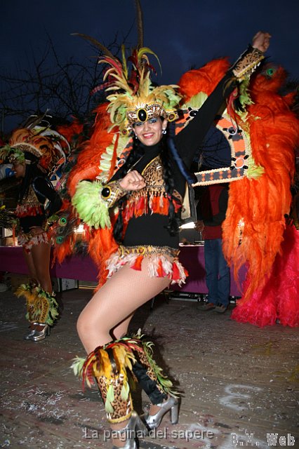 Carnevale 2010 FB (86).JPG